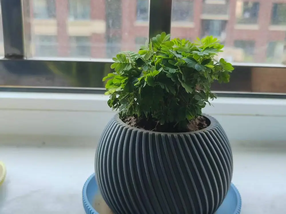 斜线花盆