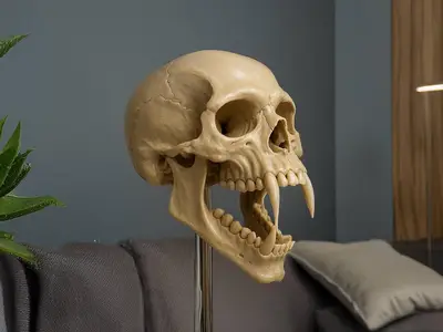 Vampire's skull found in a deconsecrated church