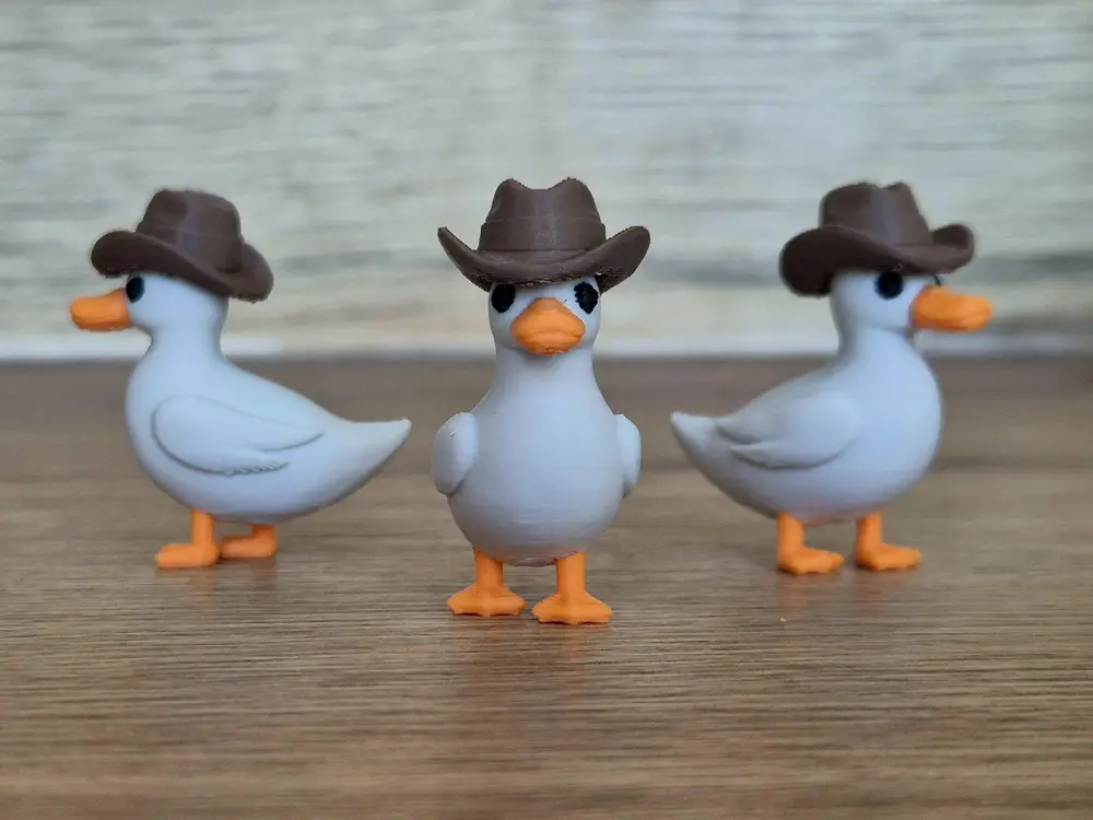 Duck in Hat