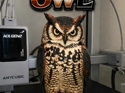 Chromatic Owl 4 colors