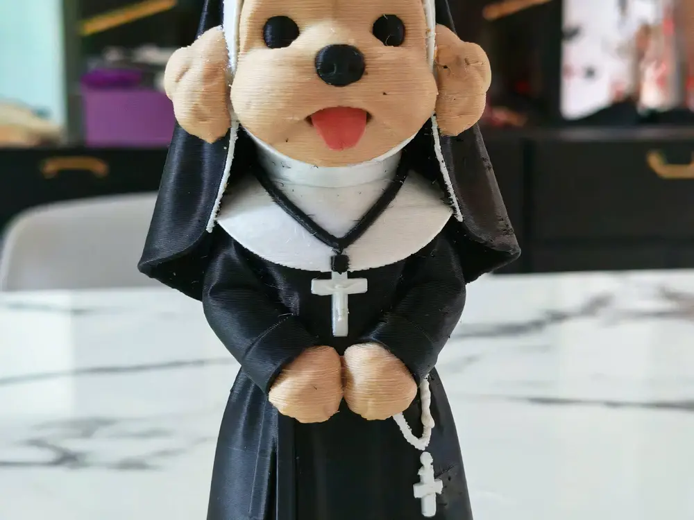 dog Nun