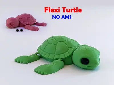 Articulated Flexi Turtle