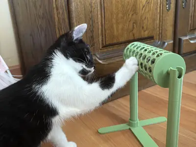 Cat Toy Dog Toy Pet Toy