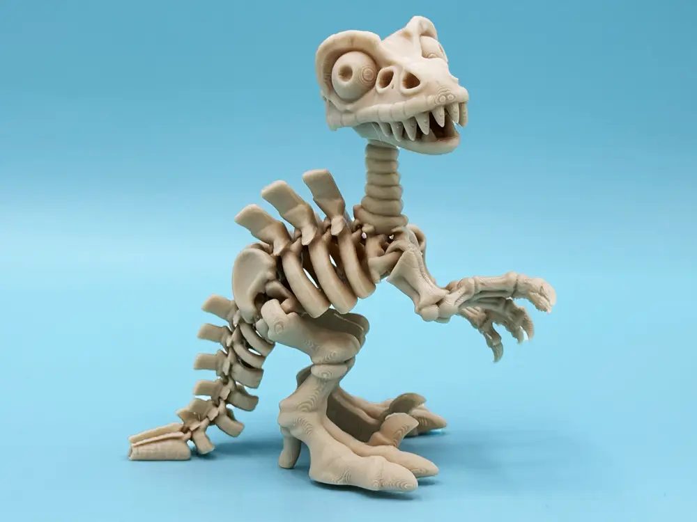 Articulated skeleton Raptor dinosaur
