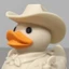 DuckLand