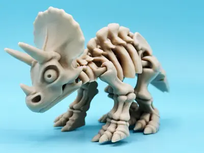 Articulated skeleton Triceratops dinosaur