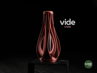 vide • vase