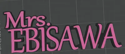 Mrs.EBISAWA