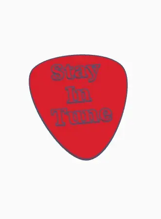 Stay in Tune Guitar Pick
