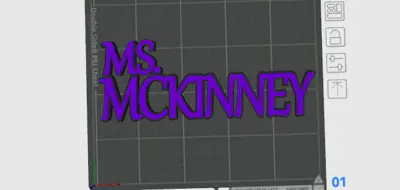 MS.MCKINNEY