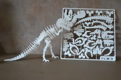 T-Rex Kit Card