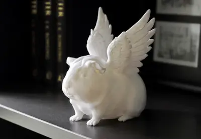 Guinea Pig with Angel Wings