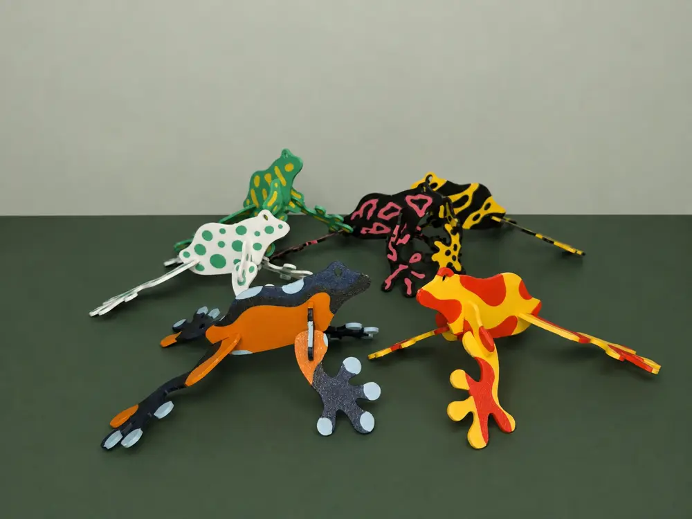 Poison Dart Frog kitcard collection