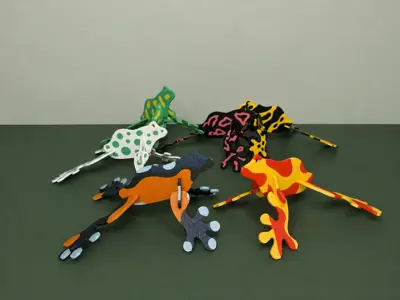 Poison Dart Frog kitcard collection