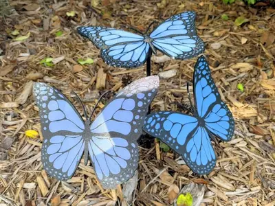 Garden Butterflies - Plant Shades and Decorations