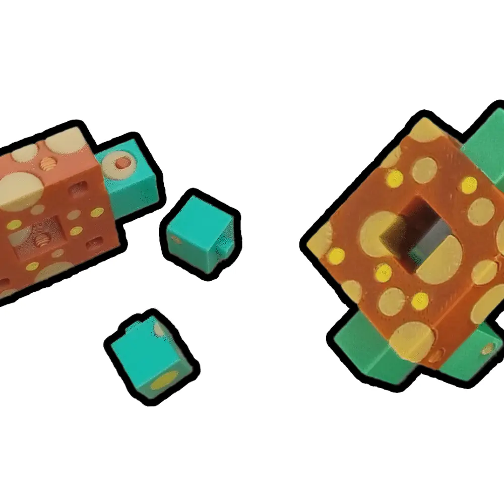 Magic Double Turtle KIT CARD