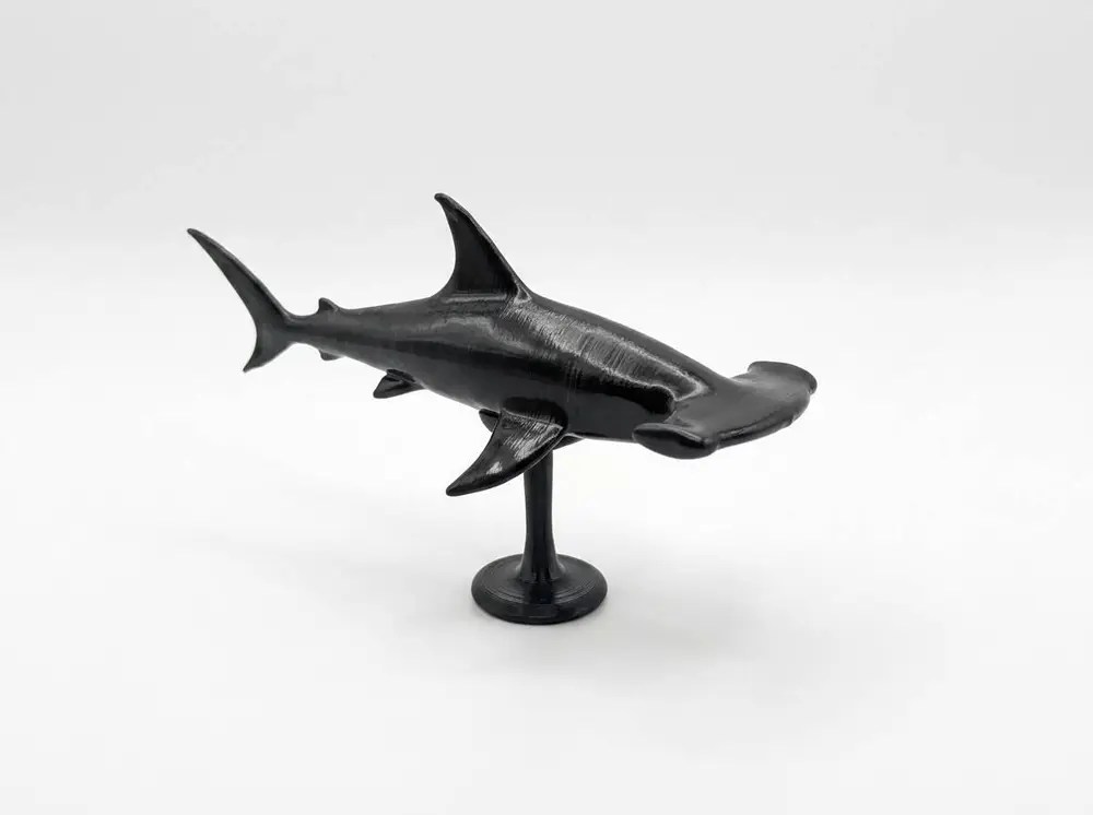 hammerhead