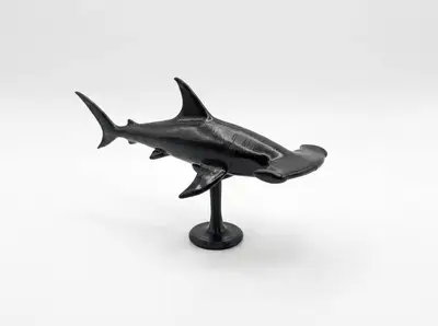 hammerhead