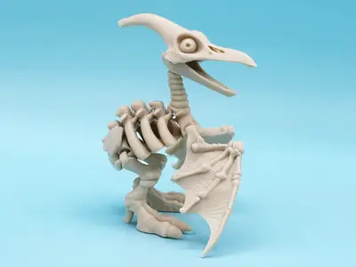 Articulated Skeleton Pterosaur