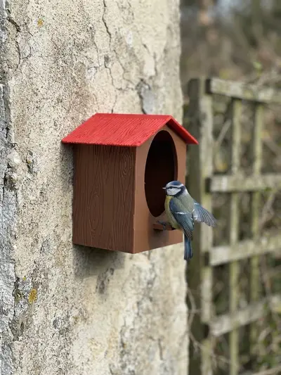 🐦 Casetta per uccelli – Bird House 3D Printable