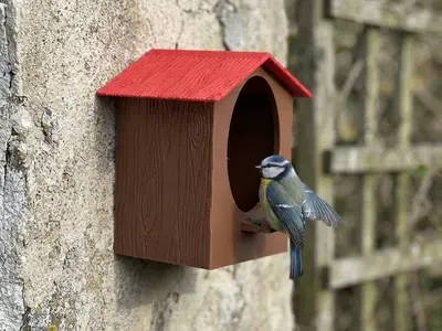 🐦 Casetta per uccelli – Bird House 3D Printable