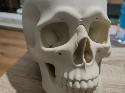 Skull Halloween Decoration