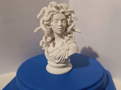 Medusa bust
