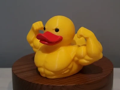 GymBro Duck, Gym Duck, Cruise Jeep Duck