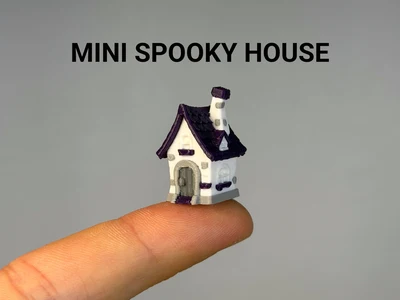 Mini Spooky House