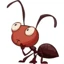 CuriousAnt