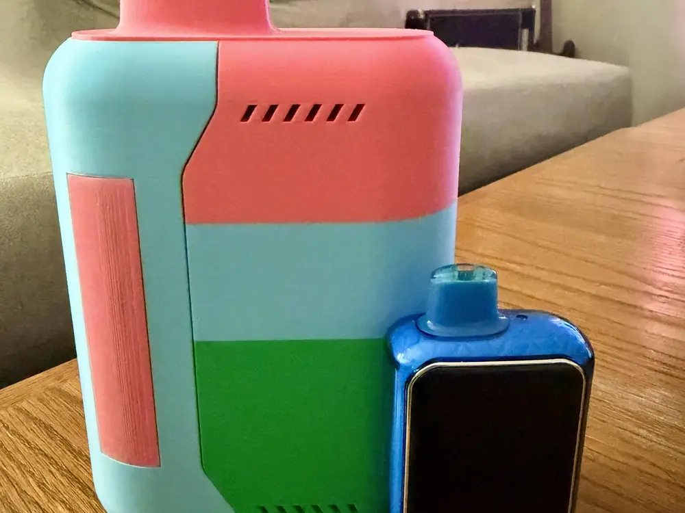 GIANT vape case