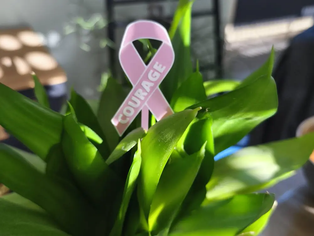 Piquet de plante courage ruban rose