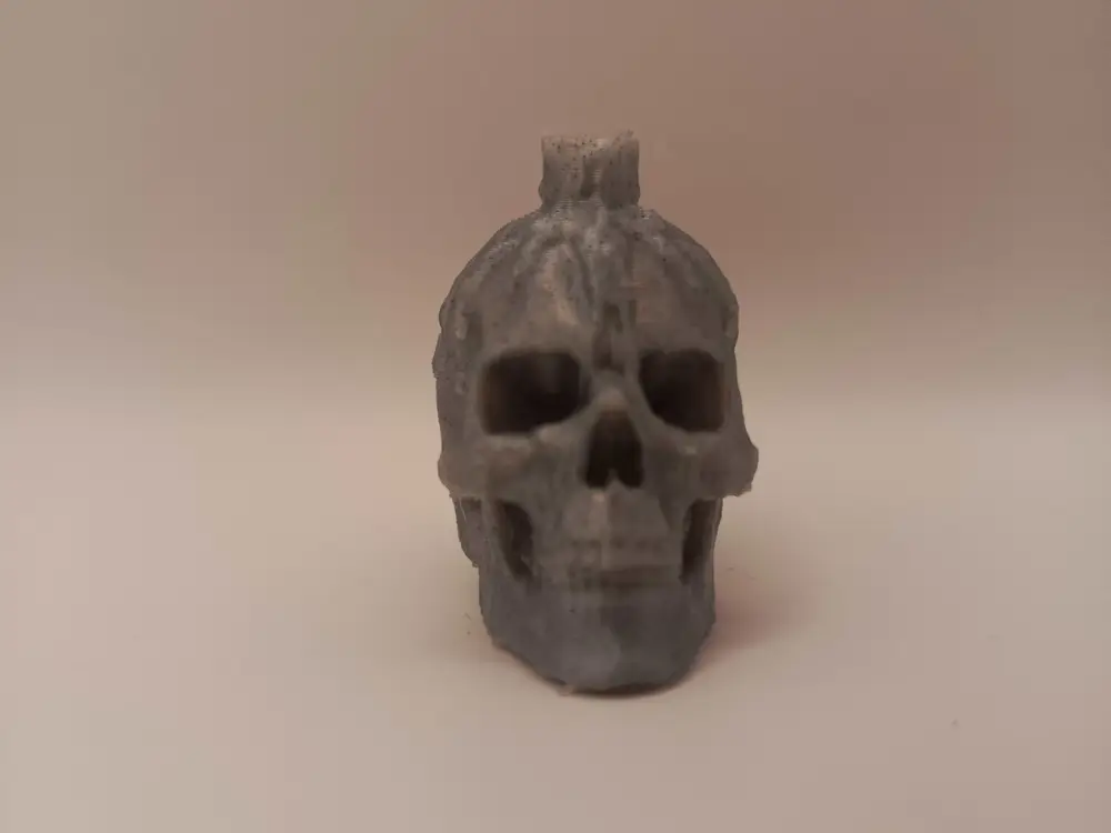 Skull with Melting Candle