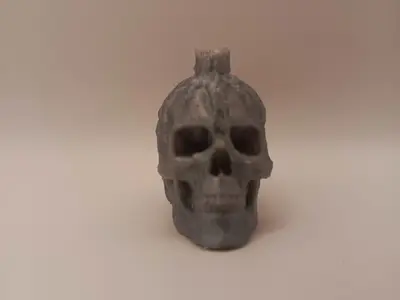 Skull with Melting Candle
