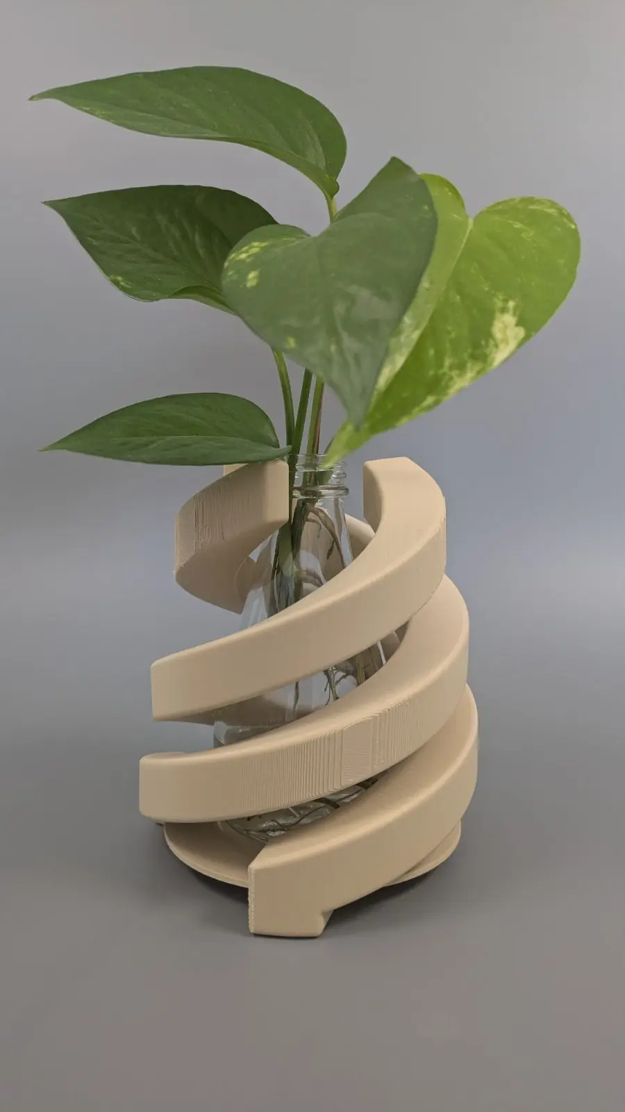 Aperture - Plant Table Holder