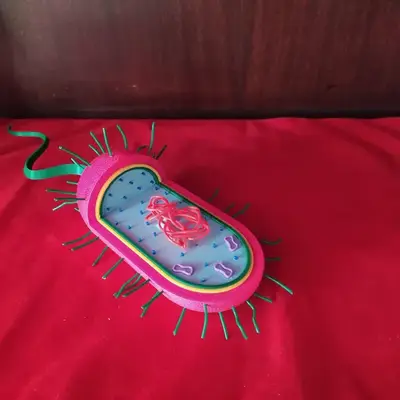 Prokaryotic Cell for school work by  EzeSko