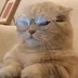 Meowcraft喵匠