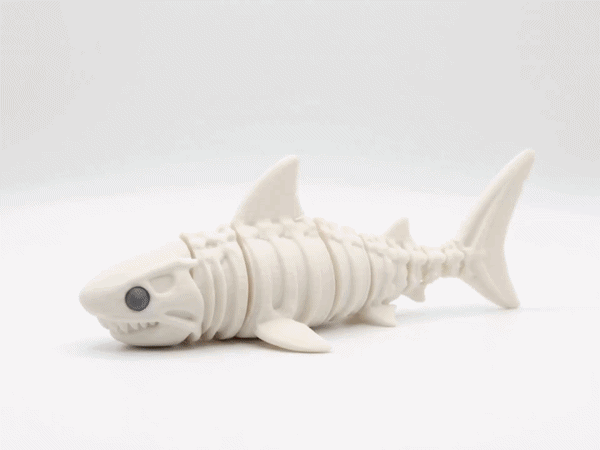 skeleton shark