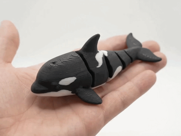 flexi killer whale
