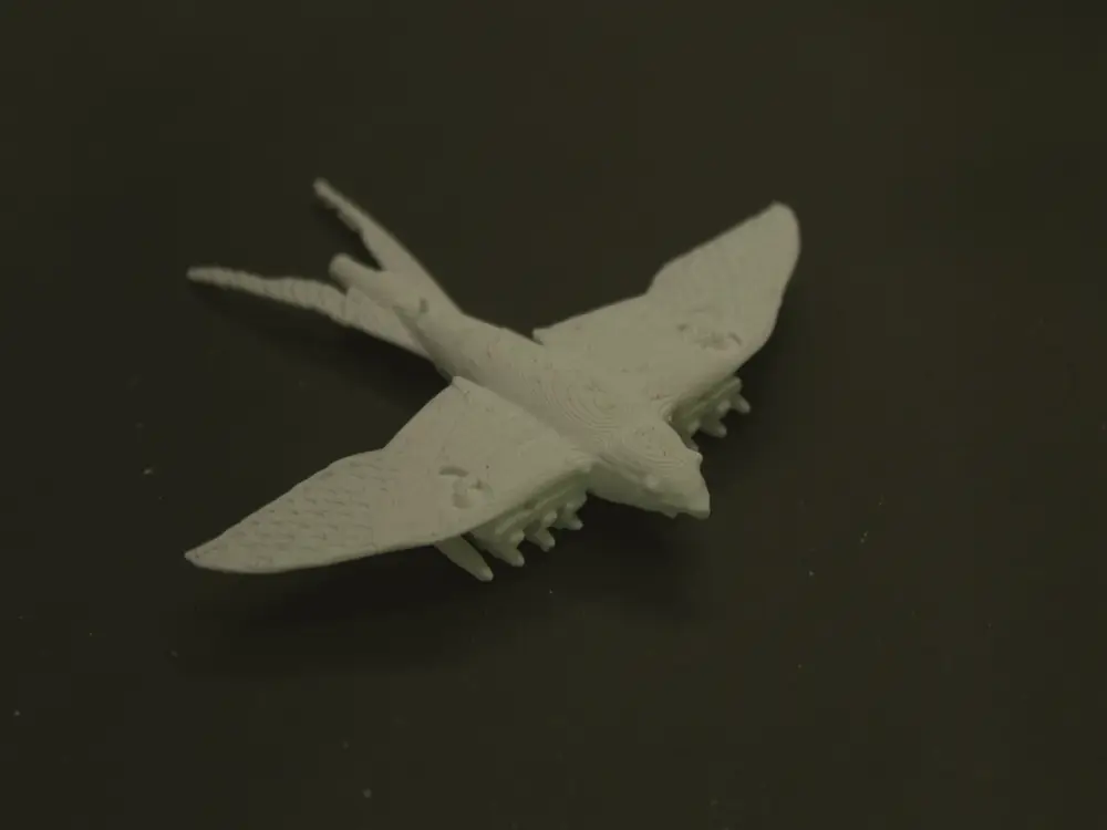 Swallow-X1