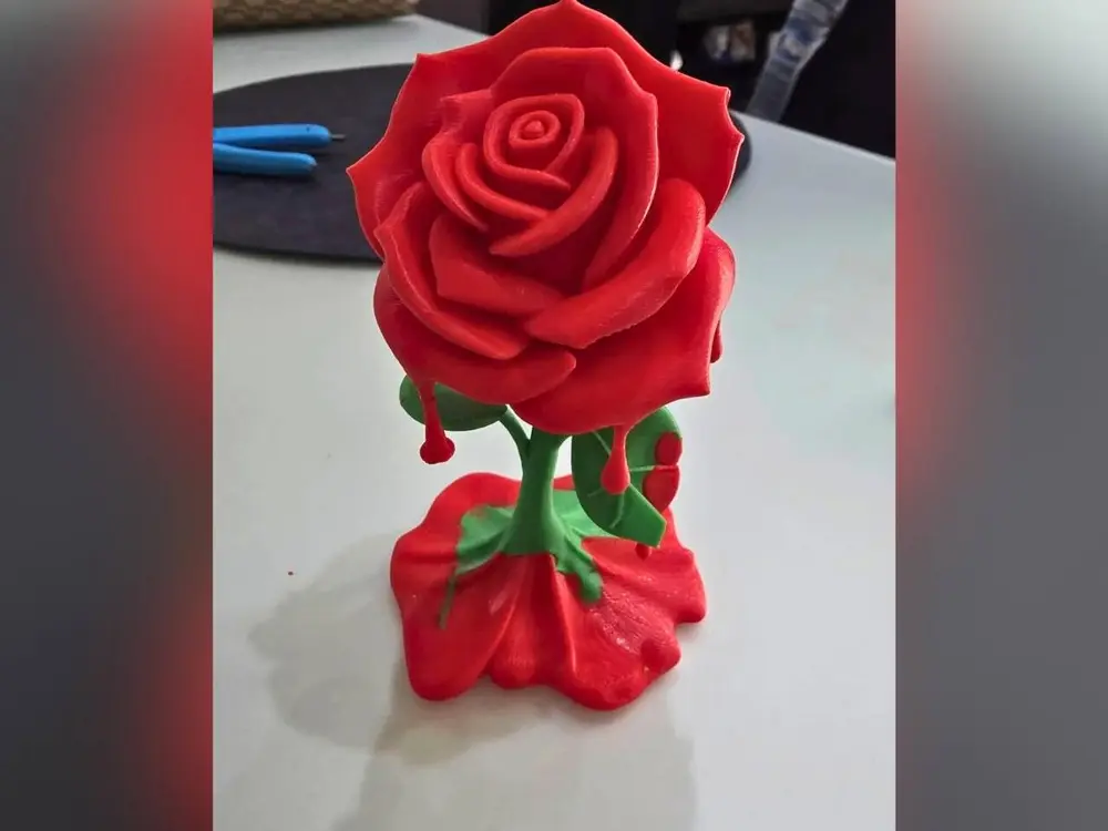 Melting Rose