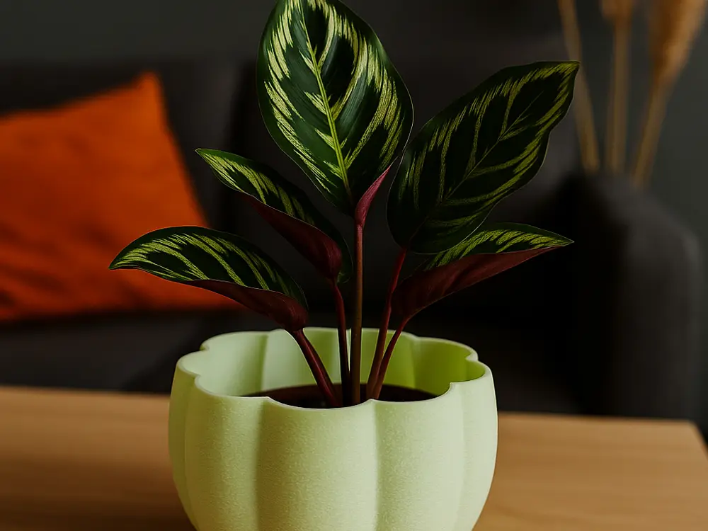 Fuzzy Skin Pumpkin Planter