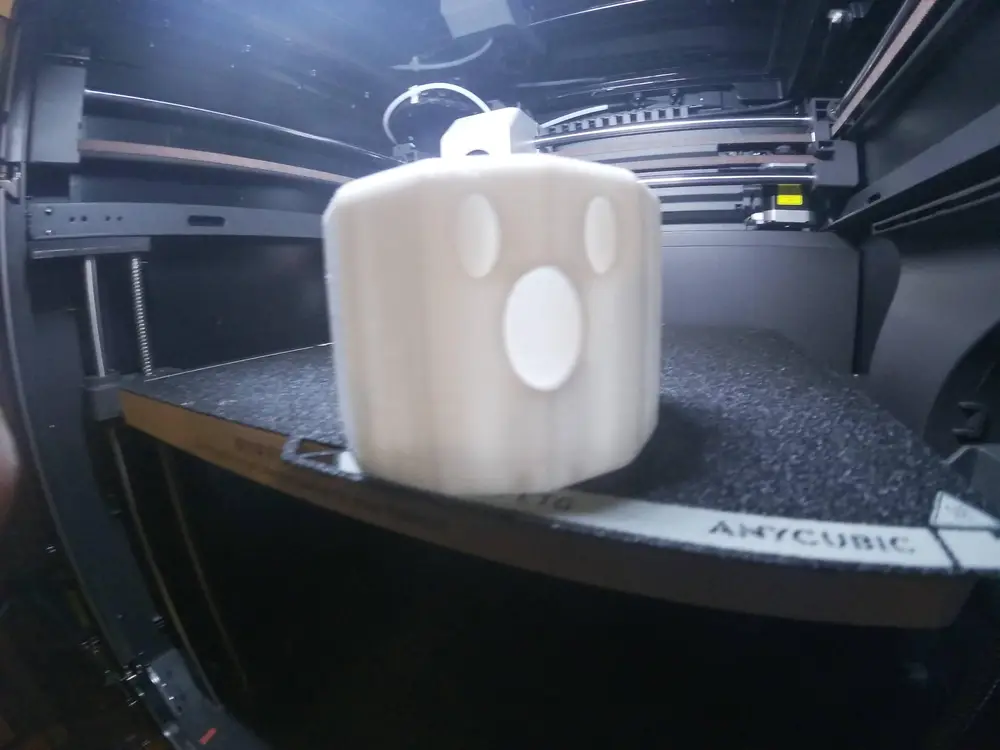 SMALL GHOST PLANT POT
