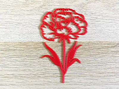 Carnation decoration