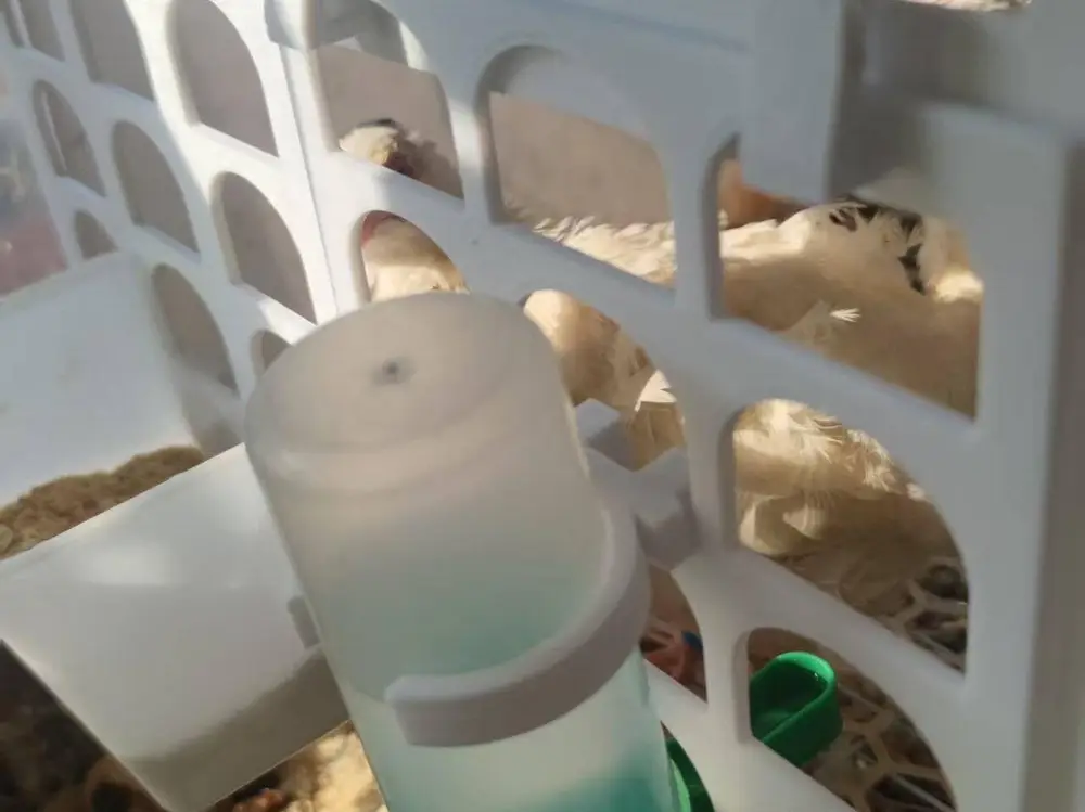 宠物饮水器挂钩
