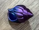 Cute Sea Crab Shell