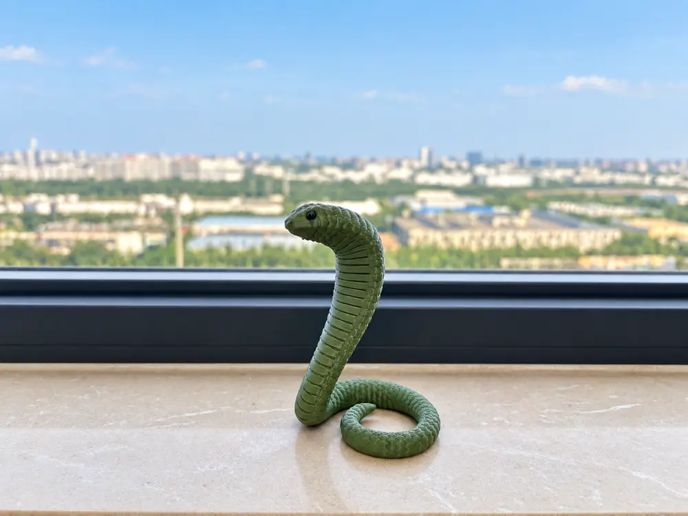 眼镜蛇