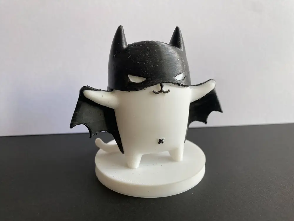 Bat Cat Superhero