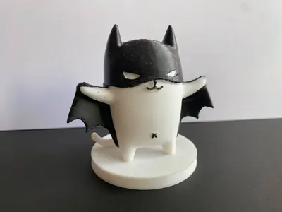 Bat Cat Superhero