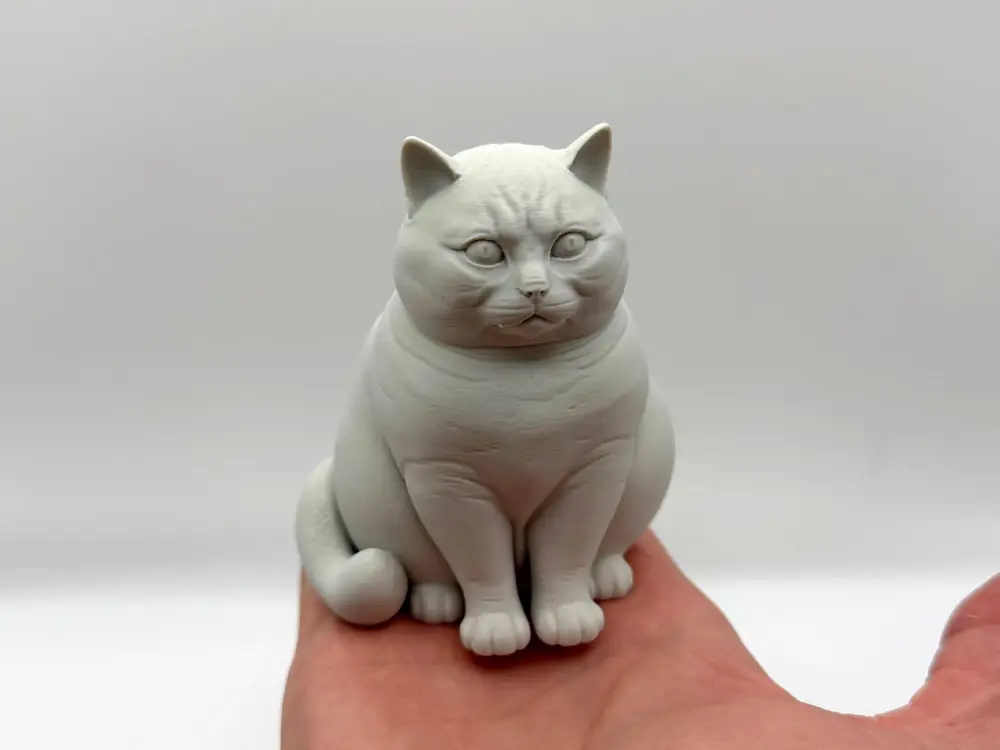 Realistic Chonk Cat